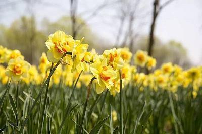 【精选】2021教师节微信经典文案句子推荐82句