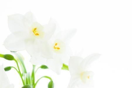 教师节赞美老师的诗歌 歌颂老师的诗歌
