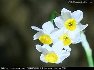打动人心的句子简语说说汇总65句