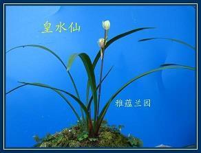 一个人内心失落自嘲的语录(精选36句)