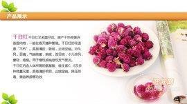 怙过不悛
