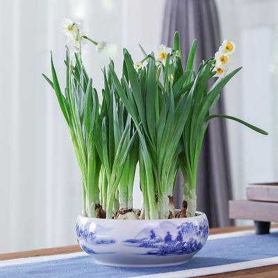 早晨起来发朋友圈的简短句子收集26句