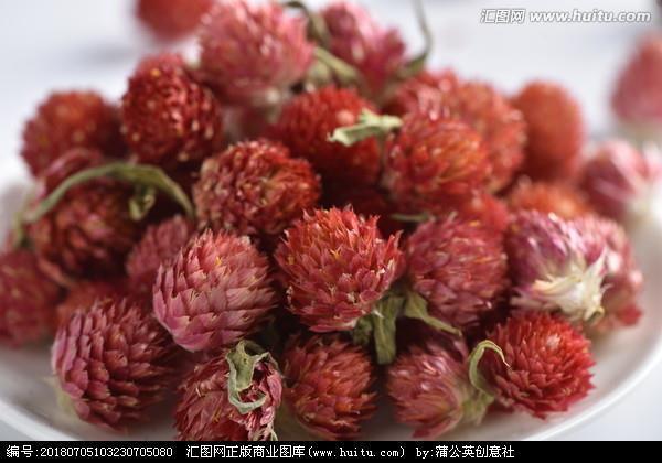 捉鼠拿猫