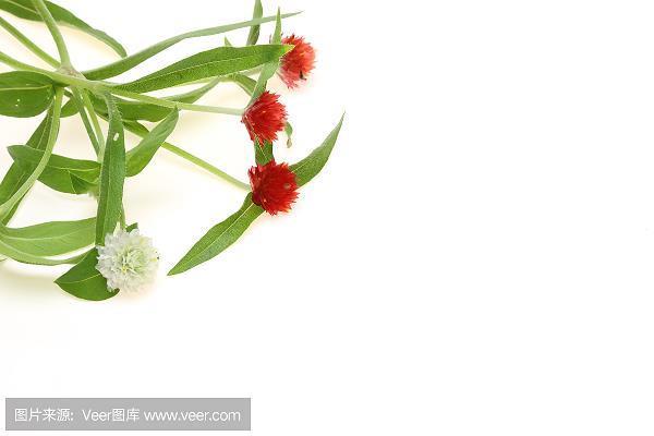 架海擎天