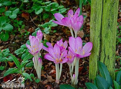 冷傲有修养很帅的朋友圈
