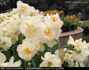 感恩节感恩父母有趣文案 感恩节朋友圈怎么发(精选18句)