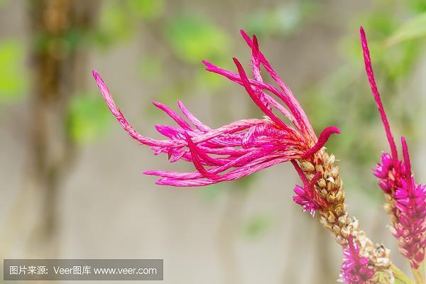 破甑生尘
