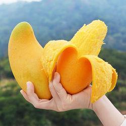 工作上受委屈的说说37句