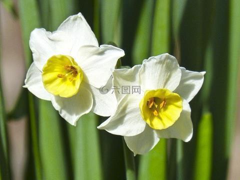 对爱情失望无奈的句子女人