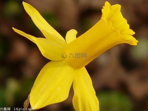 对家庭彻底失望的句子