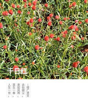 拆东补西