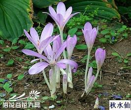 唯美语录干净短句推荐32句