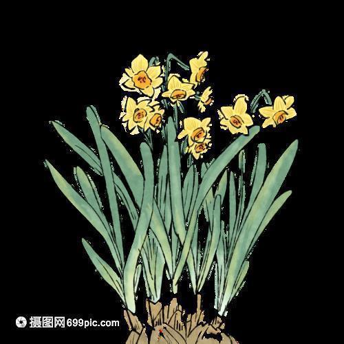 女生霸气冷酷超拽说说精选（64句）