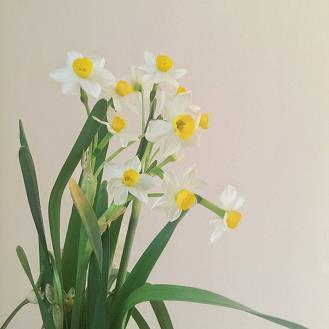 3月春暖花开的句子唯美