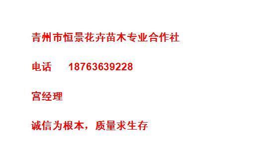 兴师问罪