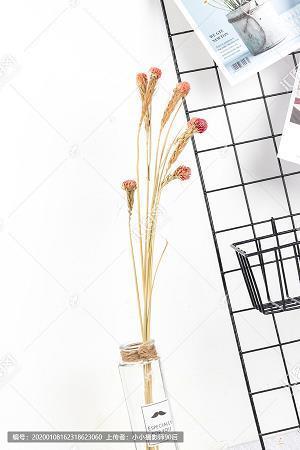 一治一乱