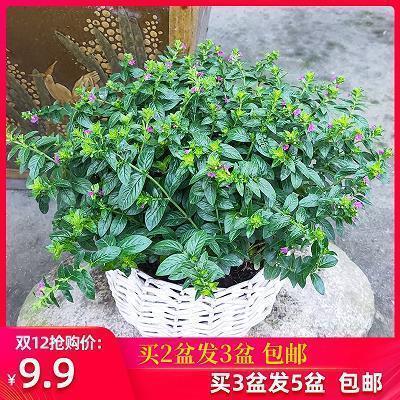 形容天气热的经典句子精选64句