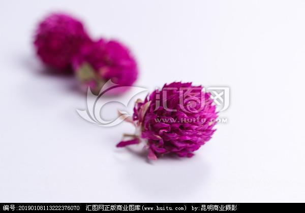 引以为戒