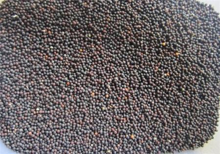 企业展望未来的句子