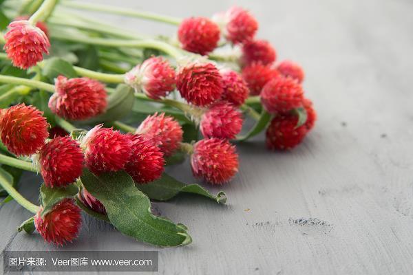 舌敝唇枯
