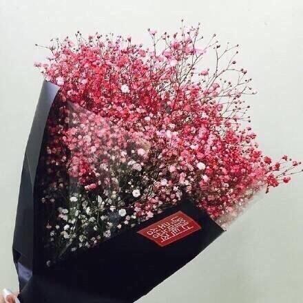 张小娴经典语录最新版