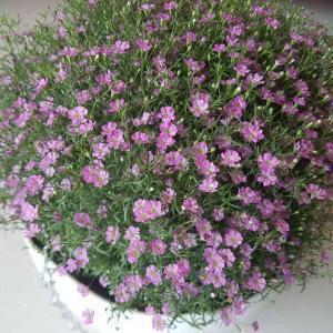 代表友谊的句子70句