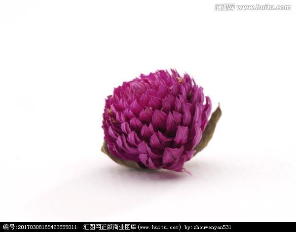 以辞害意