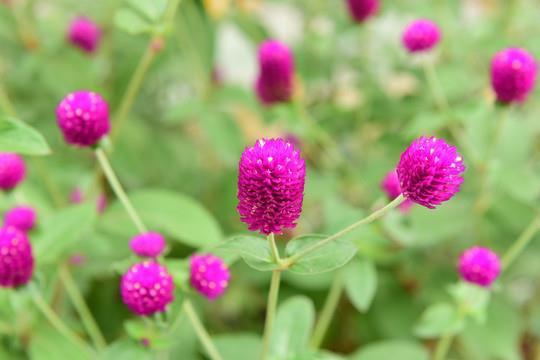 心如芒刺