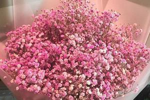 3月朋友圈文案 新的一月文案 3月你好的唯美说说精选83句