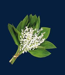 大寒节气唯美句子文案(精选73句)