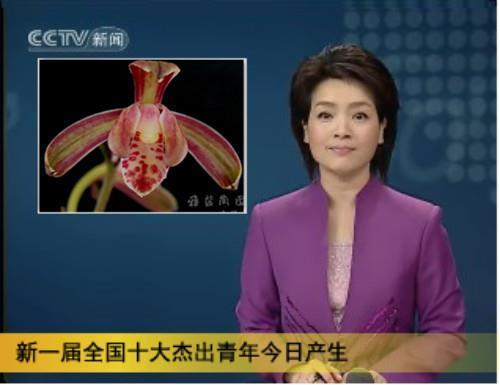 生关死劫