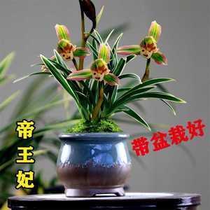 龙举云兴