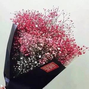 关于禅心的唯美句子 禅心佛语悟人生