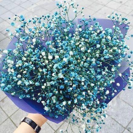 五四青年节问候语 适合五四青年节的祝福语