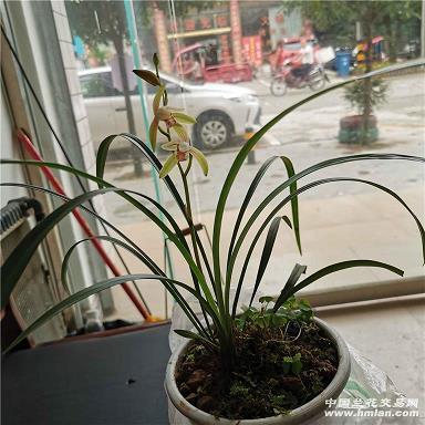 窄门窄户