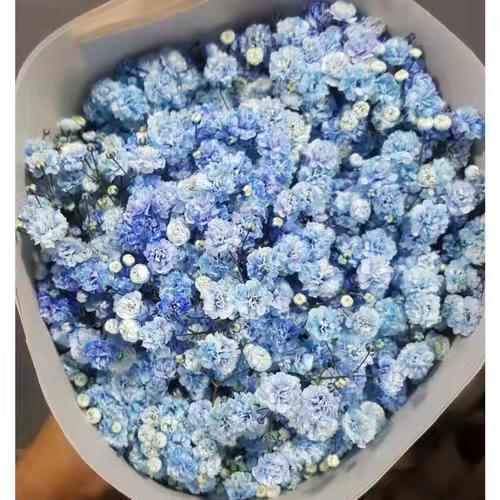搞笑的空间说说47句