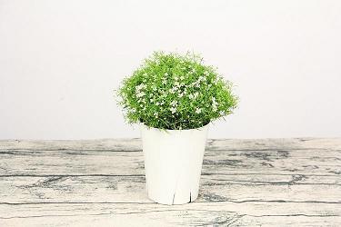 【精品】2022年春节祝福语句简短唯美汇编135句