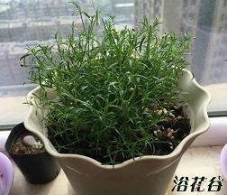 形容某些人自私的句子(精选37句)