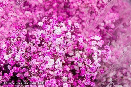 心态平和正能量的句子 心态平和的唯美句子22句