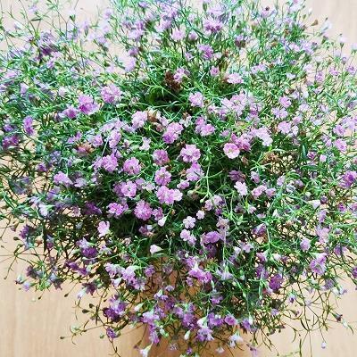 圣诞节发空间的唯美句子精选(精选68句)