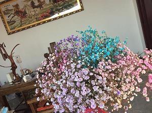我要把你放进我的计划里了 宝藏女孩微信说说短句