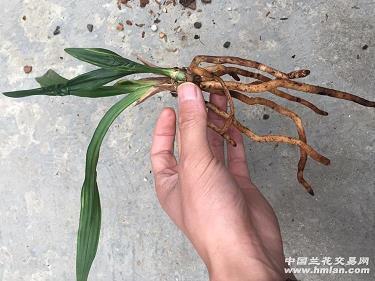 以功覆过