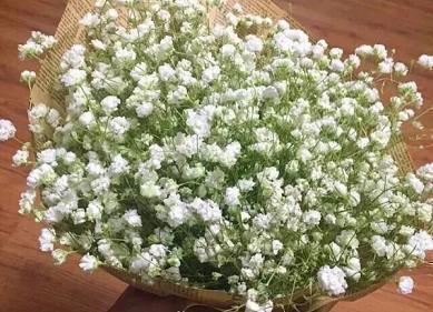 有深度有品味的句子励志说说45句