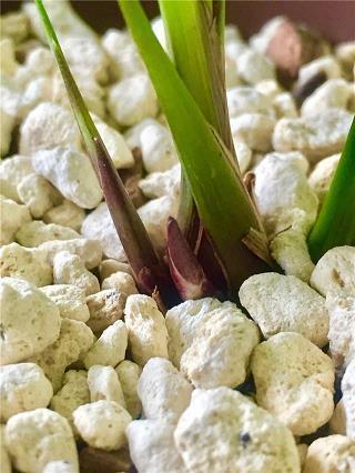 游刃有余