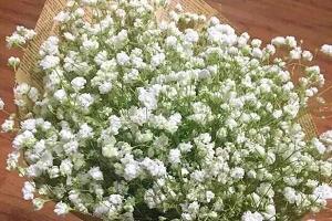 安慰病人的句子82句