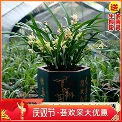 口出大言