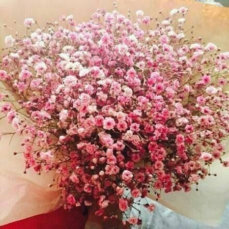 快到平安夜说说大全 有关于平安夜的个性说说29句