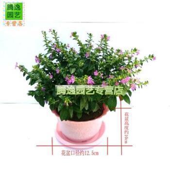伤感唯美的古风句子79句