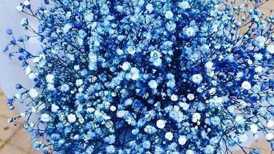 周末早安问候语正能量 朋友圈正能量早安软文