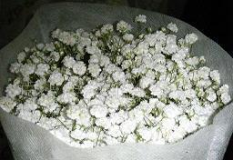 有关青春的经典说说短语